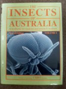 insectsof australia.jpg